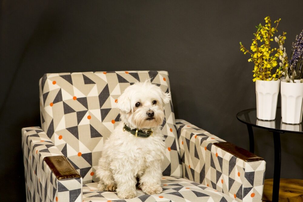 Interior Designers