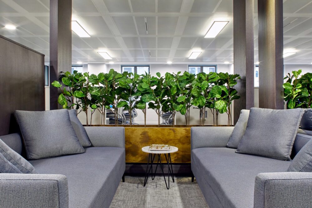 Interior Designers