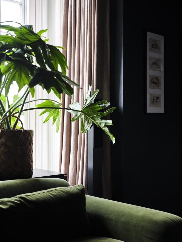 Interior Designers